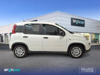 Fiat Panda Panda 1.0 Hybrid 51kW (70cv) -