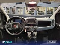 Fiat Panda Panda 1.0 Hybrid 51kW (70cv) -