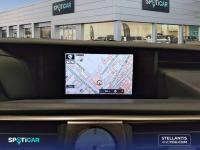 Lexus Is 2.5 300h  Parking Executive