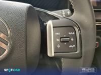 Citroën C3 ë-C3 Eléctrico Business