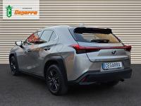 Lexus UX 250h