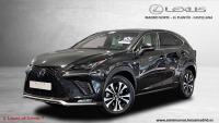 LEXUS 300h 2.5 300h 4WD F Sport Panorámico 422€/mes