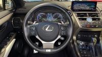 LEXUS 300h 2.5 300h 4WD F Sport Panorámico 422€/mes