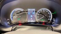 LEXUS 300h 2.5 300h 4WD F Sport Panorámico 422€/mes