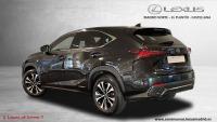 LEXUS 300h 2.5 300h 4WD F Sport Panorámico 422€/mes