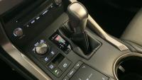 LEXUS 300h 2.5 197cv 4WD F Sport Panorámico 461€/mes