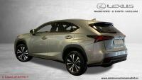 LEXUS 300h 2.5 197cv 4WD F Sport Panorámico 461€/mes