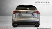 LEXUS 300h 2.5 197cv 4WD F Sport Panorámico 461€/mes