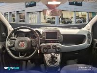 Fiat Panda Panda  1.0 Hybrid 51kw (70CV) Cross