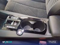 Lancia Ypsilon Hybrid 74kW (100CV) Ypsilon LX