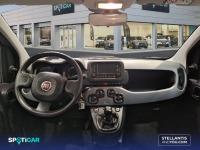 Fiat Panda Hybrid 1.0 Gse 51kw (70CV) City Life