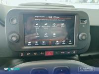Fiat Panda Panda  1.0 Hybrid 51kw (70CV) Cross