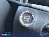 Fiat 600 600 MHEV 1.2 74kW (100CV) DDCT -