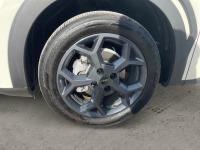 BYD Dolphin Surf Boost CONFORT