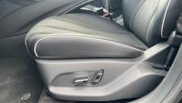 BYD Dolphin Comfort