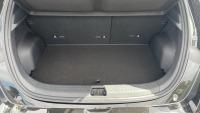 BYD Dolphin Comfort