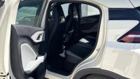 BYD Dolphin Surf Boost