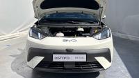 BYD Dolphin Surf Boost