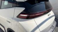 BYD Dolphin Surf Boost