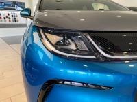 BYD Dolphin Design