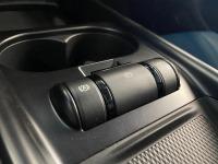 BYD Dolphin Design